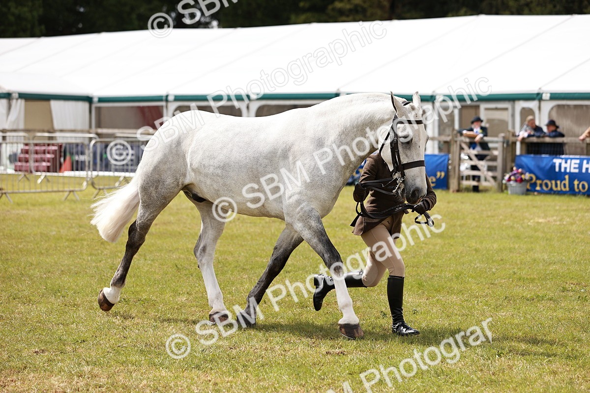 SBM_14062 - Class 85-87 - RIHS Cobs