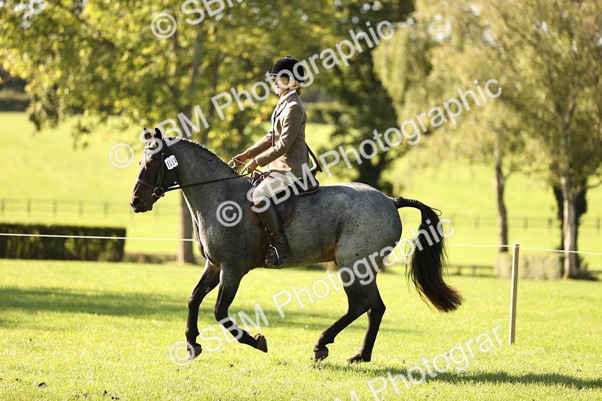 SBM_16973 - S2 - TSR Ridden Pony Showing