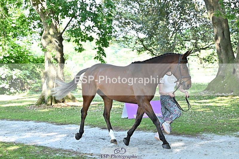 250521A-161127-00971 - C-208-Georgie.Frow-MBF.OLD.MEL