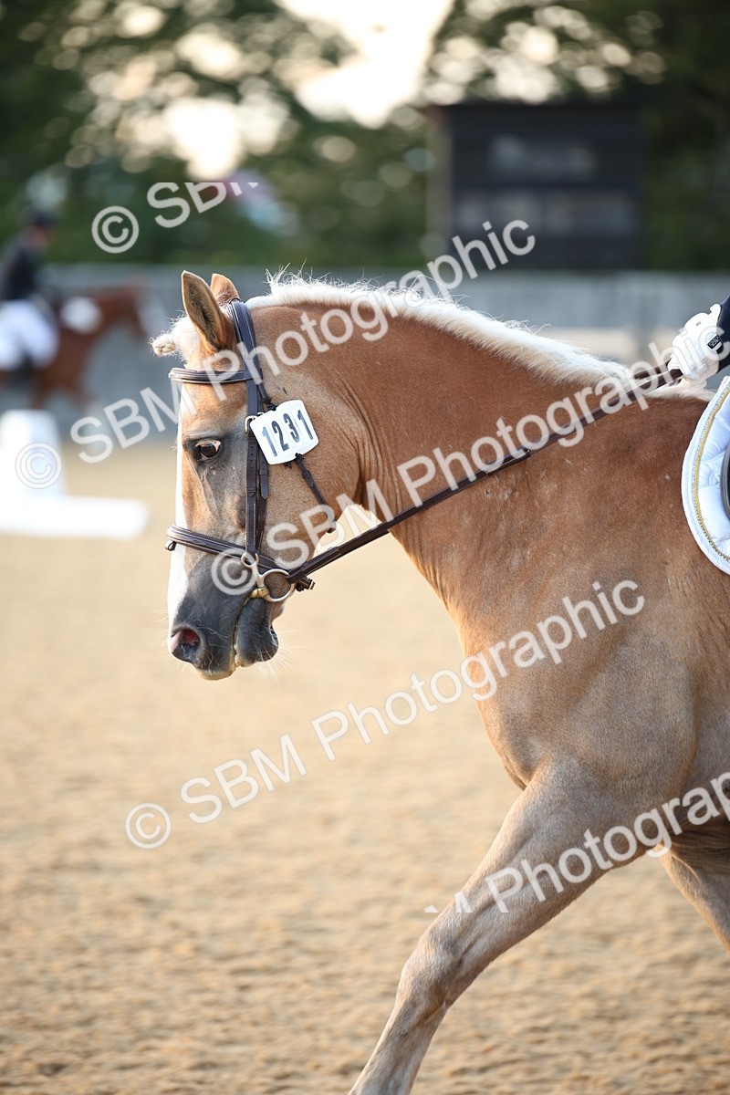 SBM_31567 - D11 - Small Tour Championship - Prelim 13