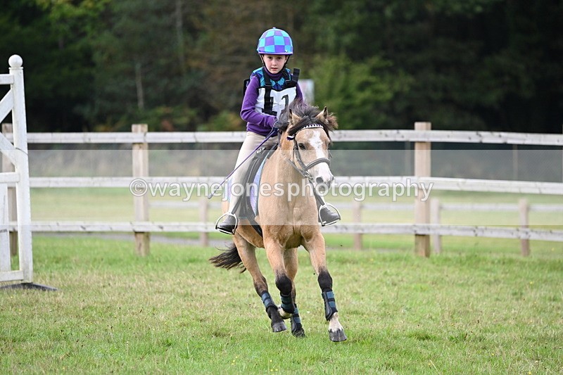 WJ6_0108 - 40cm Time 10:00 to 10:28