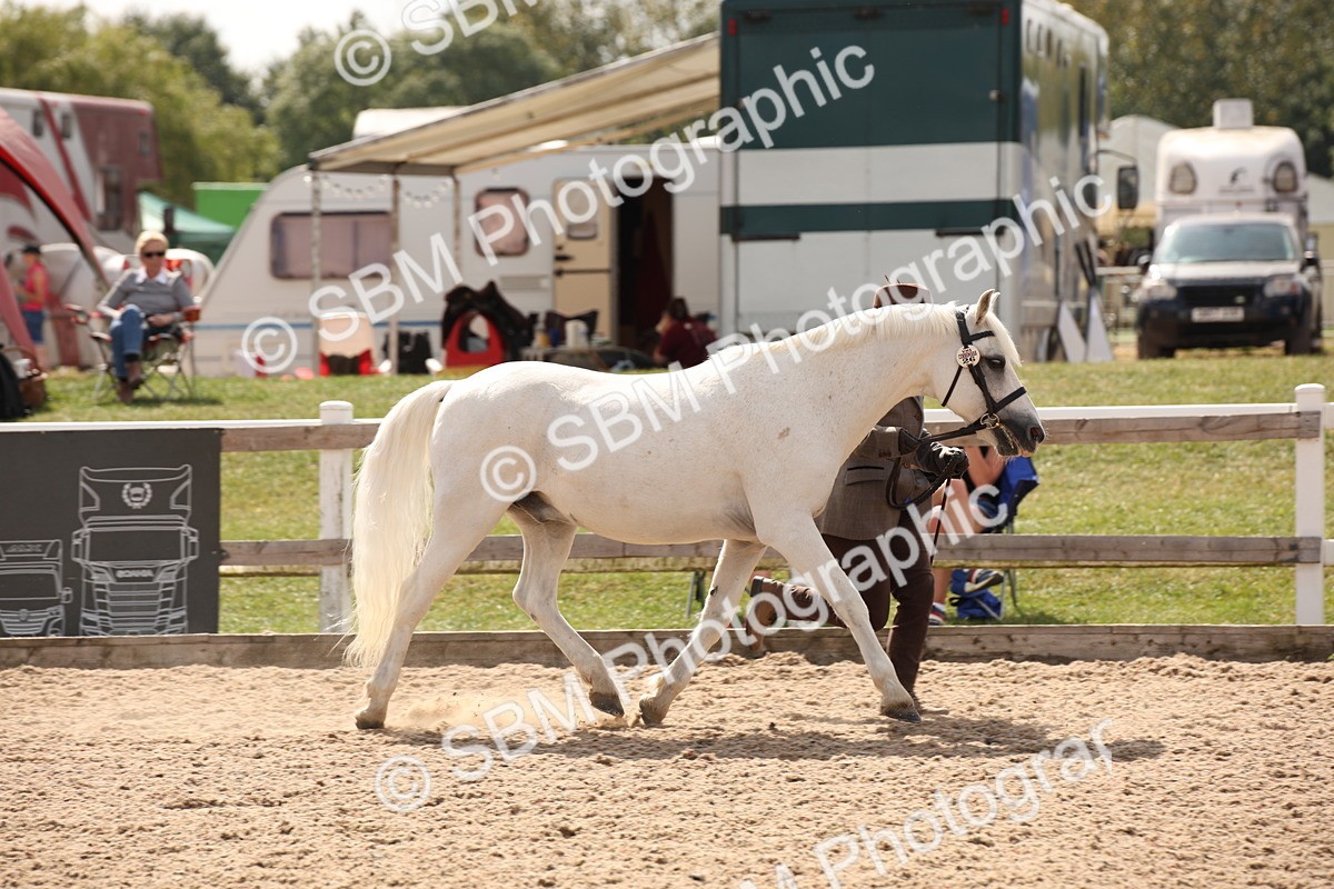SBM_04586 - Class 20 IH Veteran