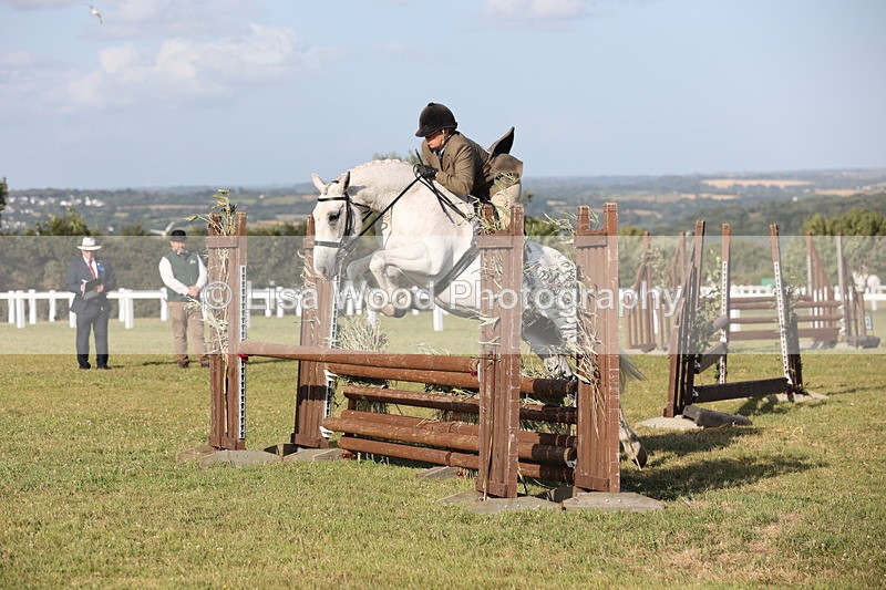 JPP_3376 - Class 22: Working Hunter 90cm