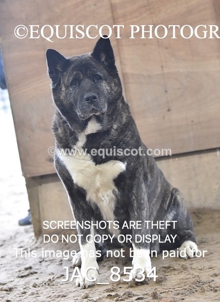 JAC_8534 - CLASS 9 LARGE OPEN 1M