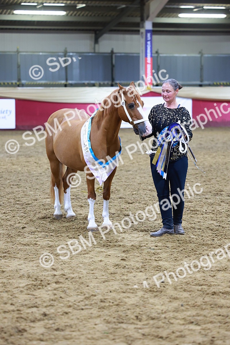 SBM_15298 - Class P - M&M Champ