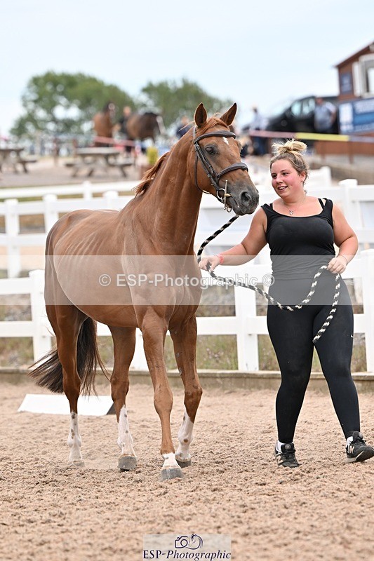 250716-160457-02399 - Trot Up 3.30 to 4.30