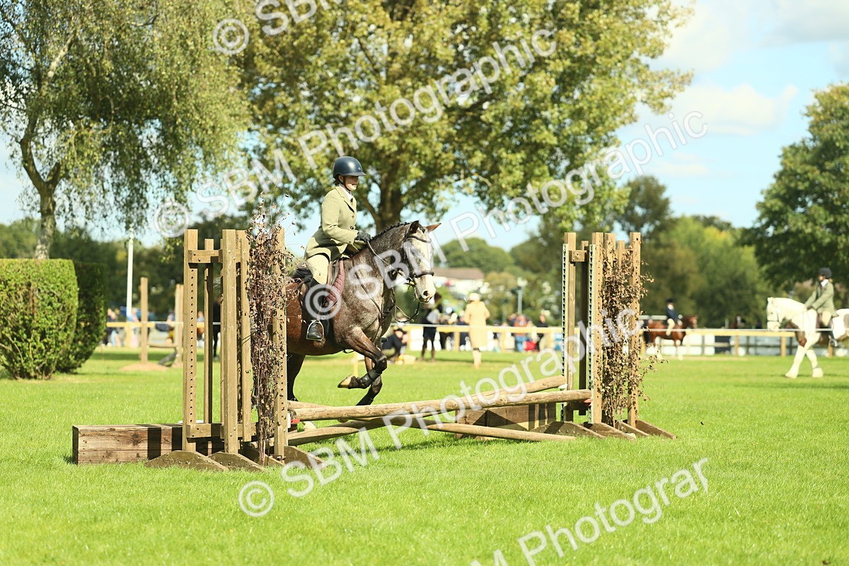 SBM_42127 - S29 - Novice & Newcomers Working Hunter Pony