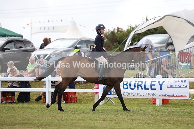 3E7A2344 - Class 11: Retraining of Racehorse