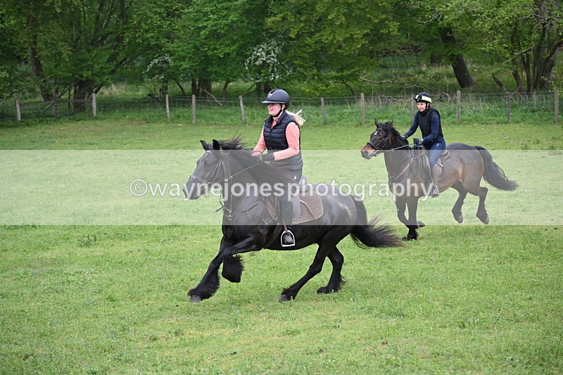 WJ6_2685 - A camera