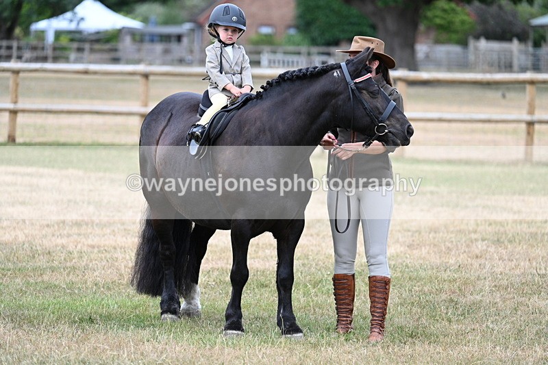 WJ7_9723 - Class 1 Lead Rein Pony