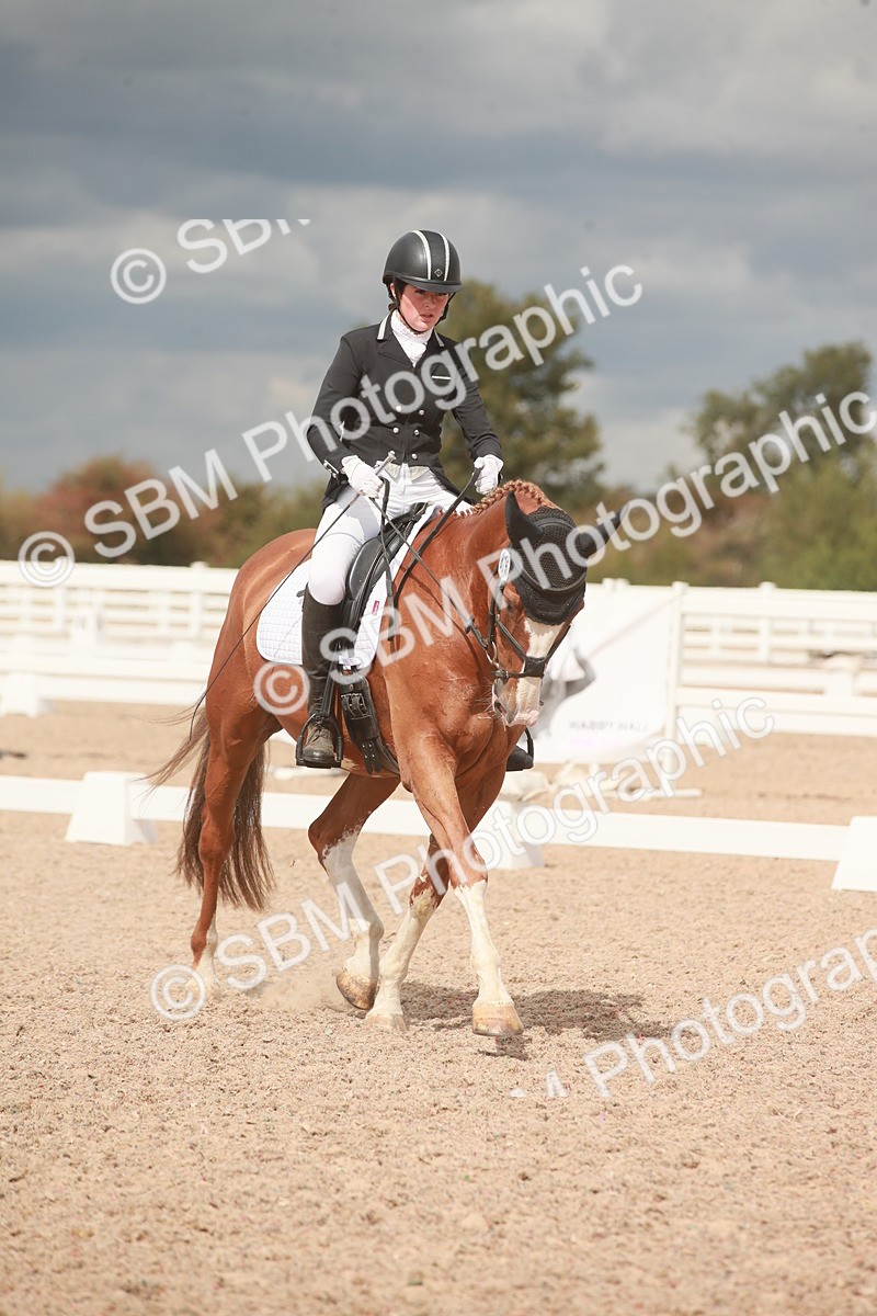 SBM_05975 - Class 32 - Novice 1