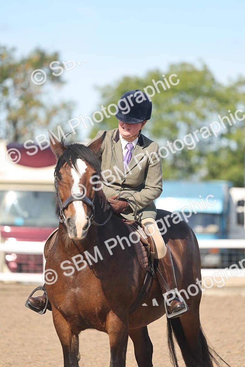 SBM_12379 - Class 304 - Ridden part Bred Horse Pony