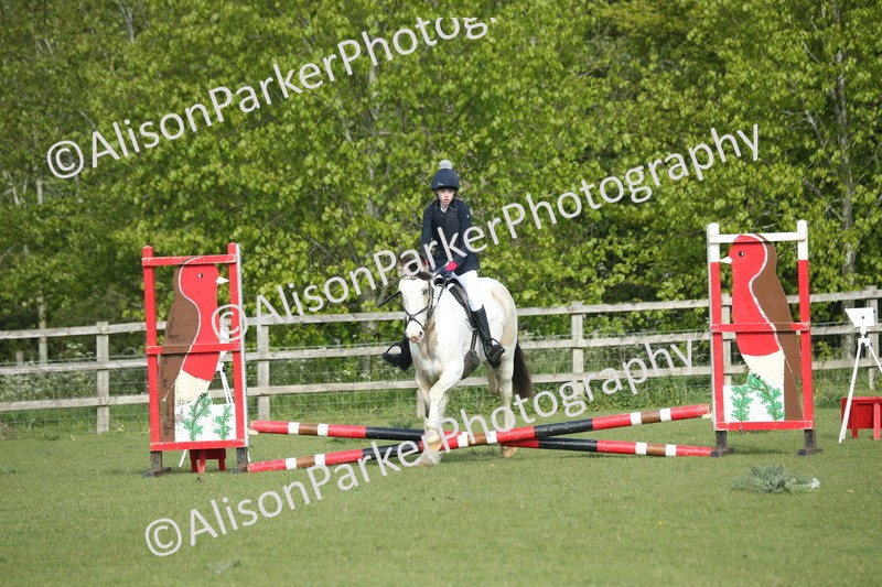 20260426-0049 - Class 13 - Rookie Jumping 50cm