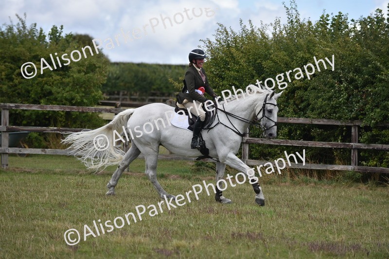 20250831-4148 - Class 13 - Working Hunter Horse or Pony