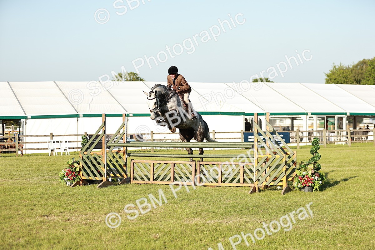 SBM_20406 - Class 117-119 - Sport Horse Working Hunter