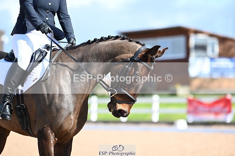 240323A-112434-01576 - DR Prelim 18