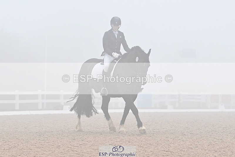 240217A-133321-03188 - 125-Rebecca.Ezra-Ham-Maesmynach.Mr.Sam