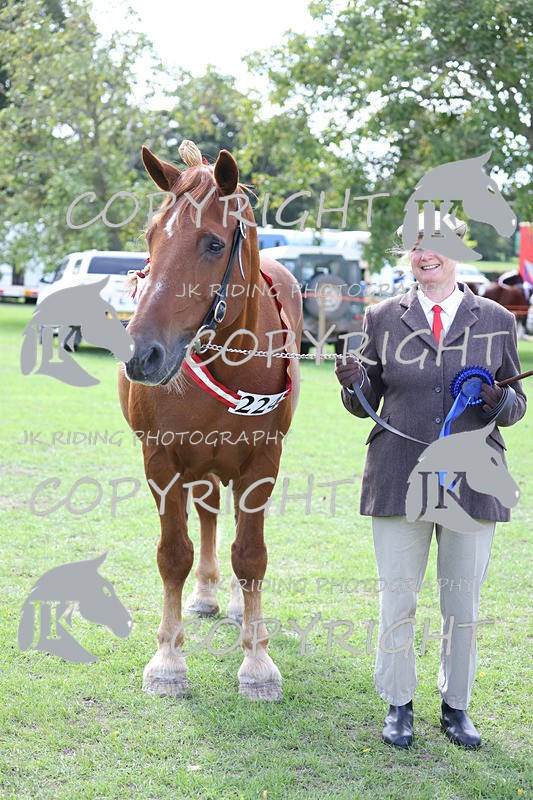 APP_3334 - Class 4 Veterans