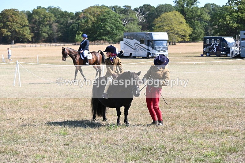 WJ6_7561 - Class 34 Judges Choice