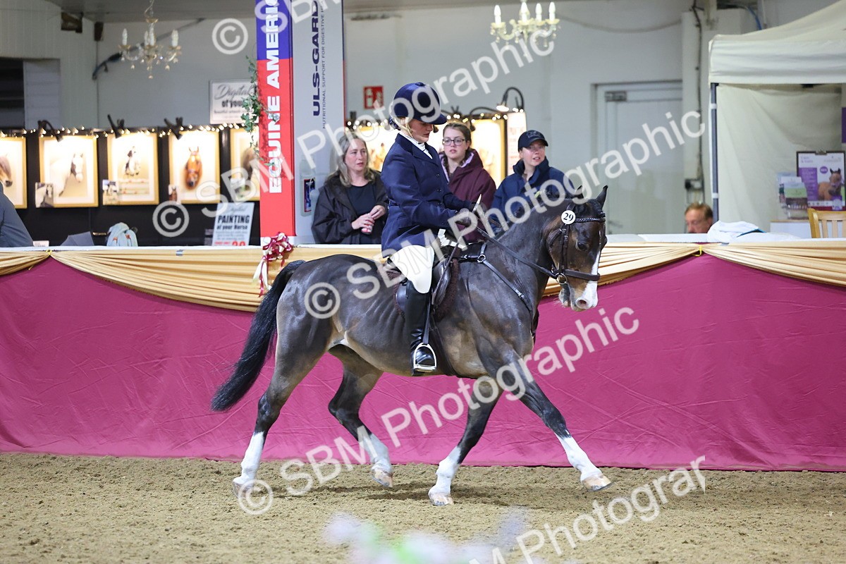 0B8A4608 - Class Q Style & Performance Champ