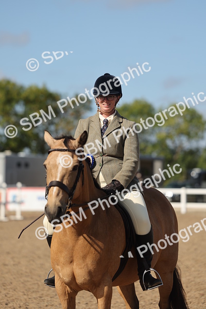 SBM_22643 - Class 804 - Ridden Veteran Pony