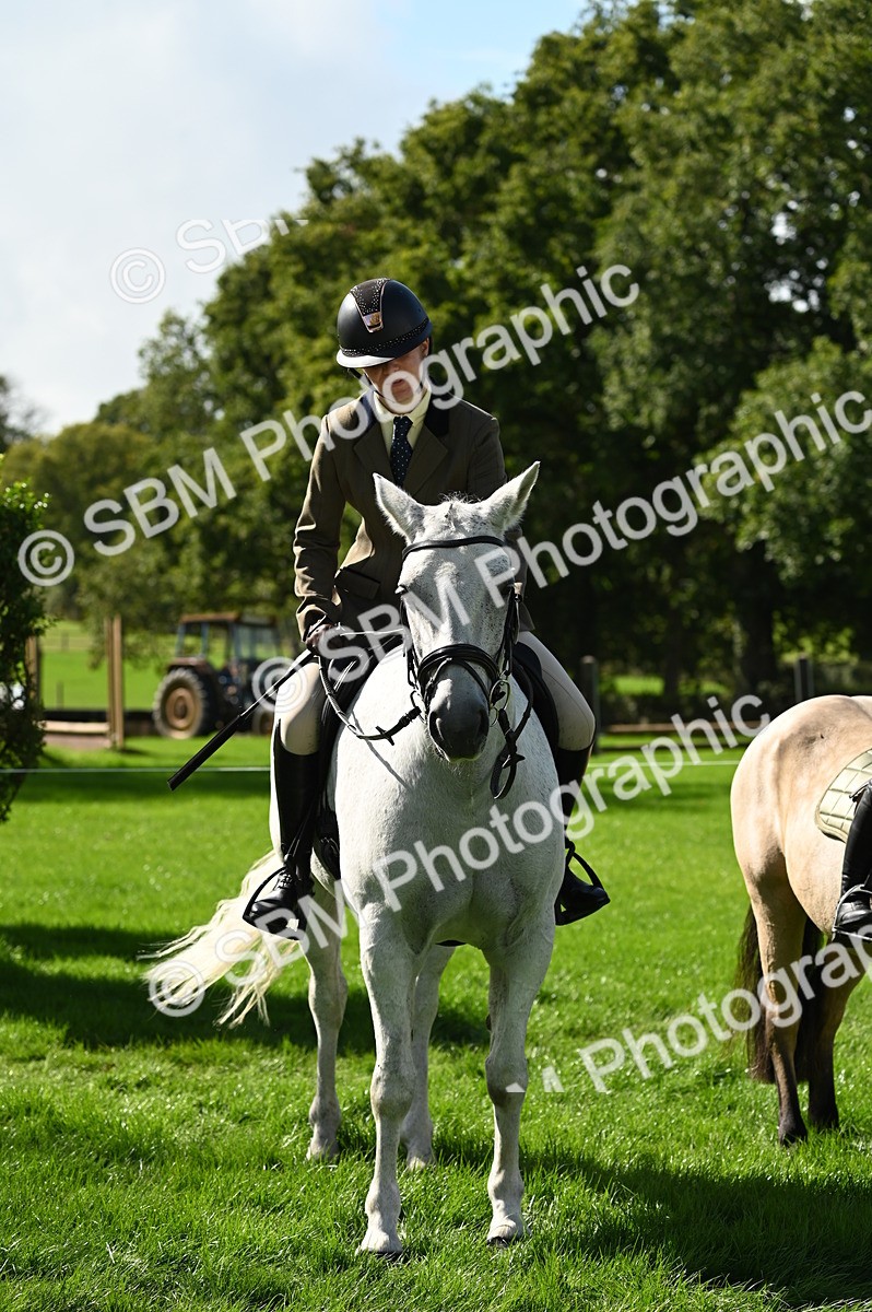 SBM_02844 - S3 - TSR Ridden Pony Showing