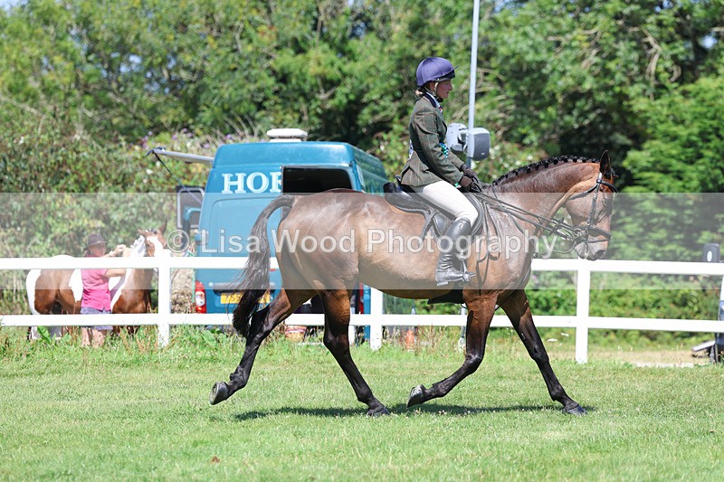 3E7A9137 - Working Hunter Championship