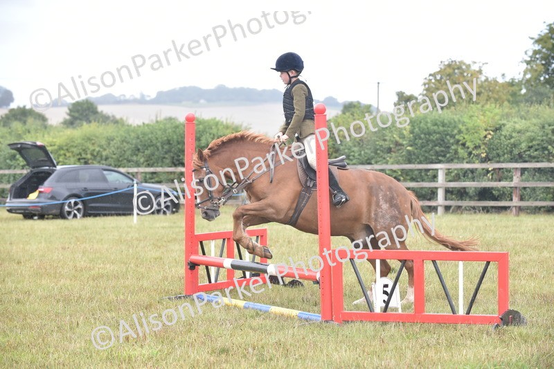 20250831-1857 - Class 9 - Absolute Novice 45cm