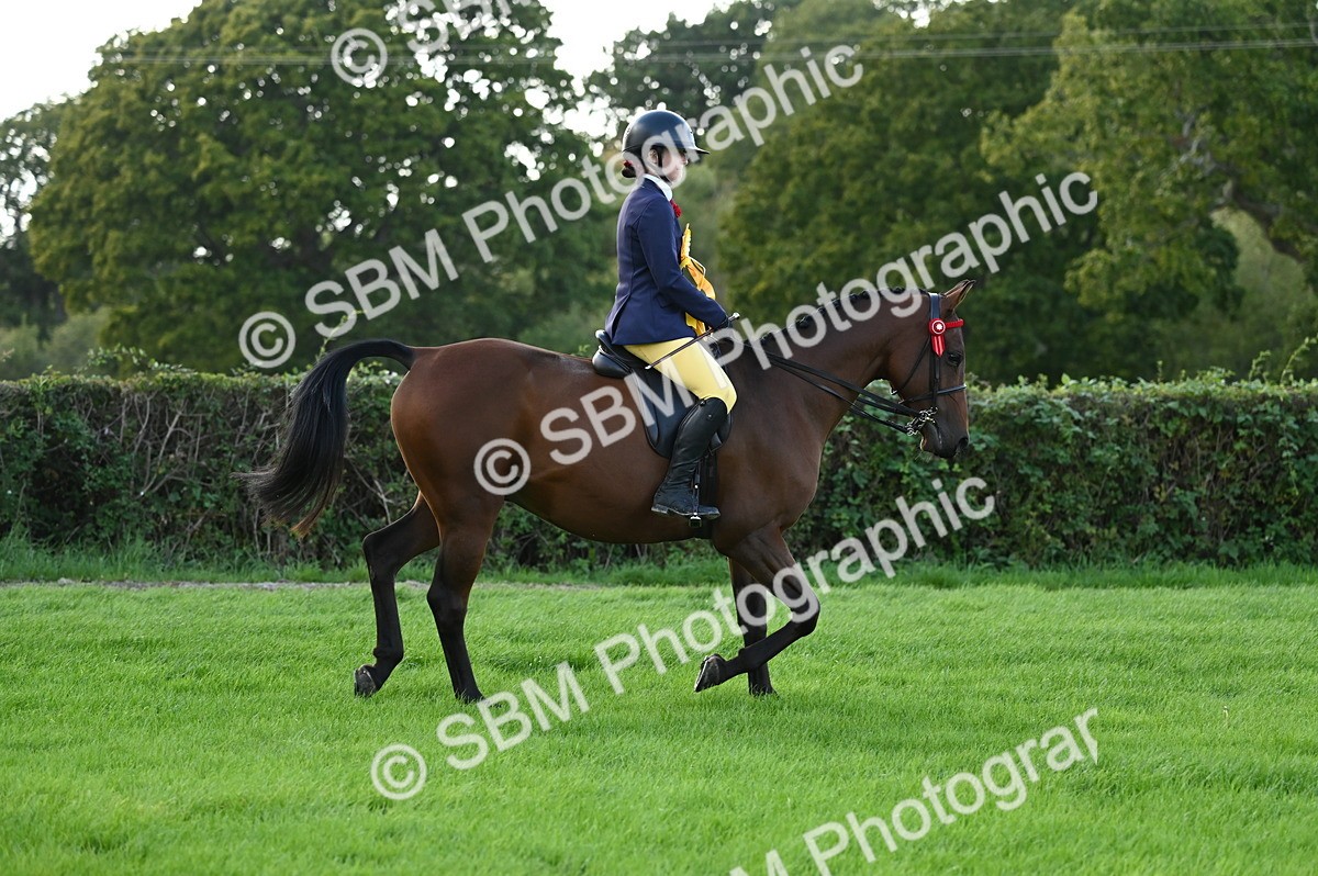 SBM_26521 - S6 - Novice & newcomer Ridden horse