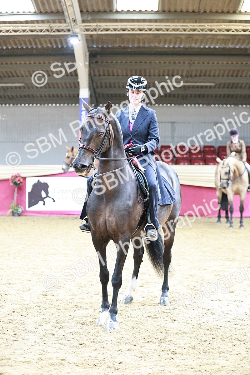 SBM_03686 - Class 6A Area Ridden Pre-Vet