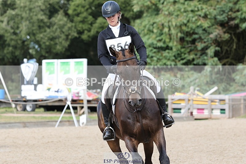 250803A-162644-17466 - S-856-Helena.Stock-ROYAL.UPDATE