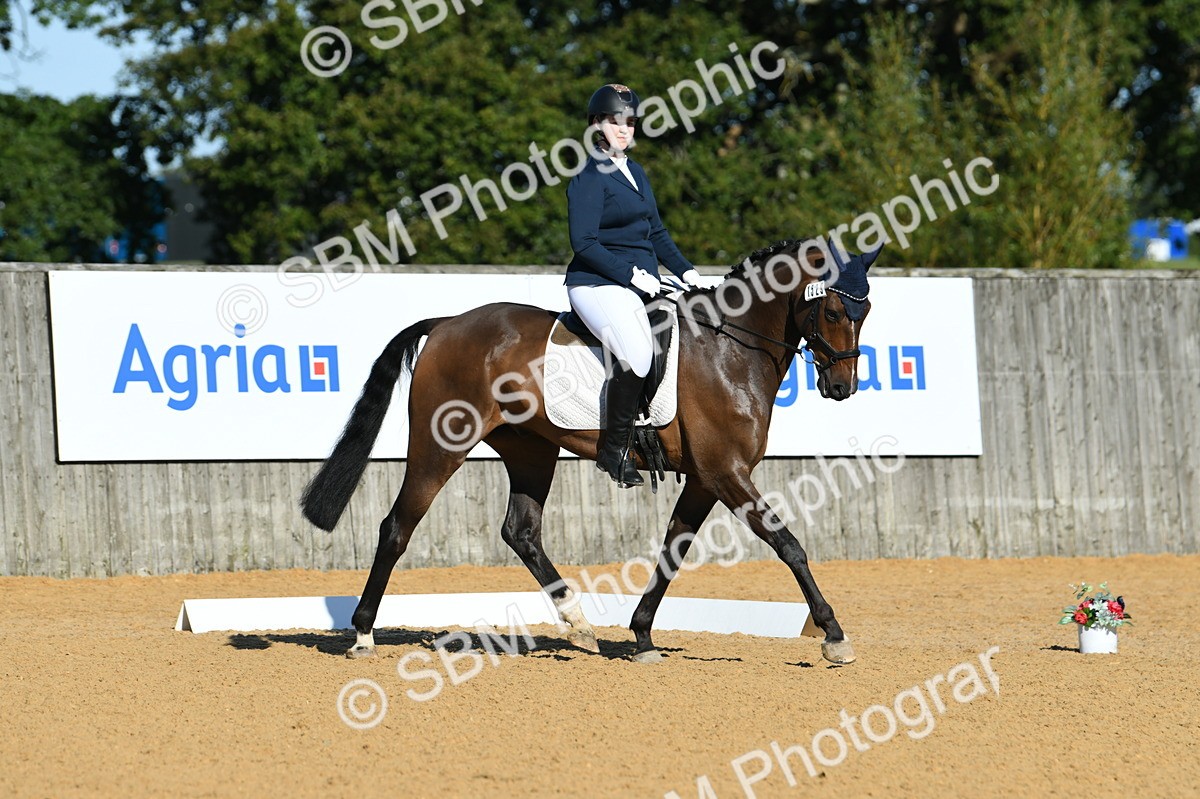 SBM_16145 - D4 - Small Tour Championship - Intro B