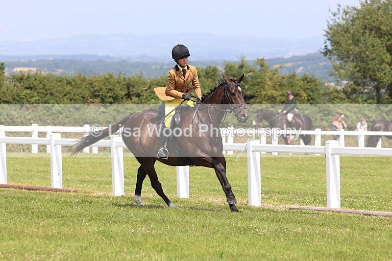 JPP_3372 - Class 22: Working Hunter 70cm