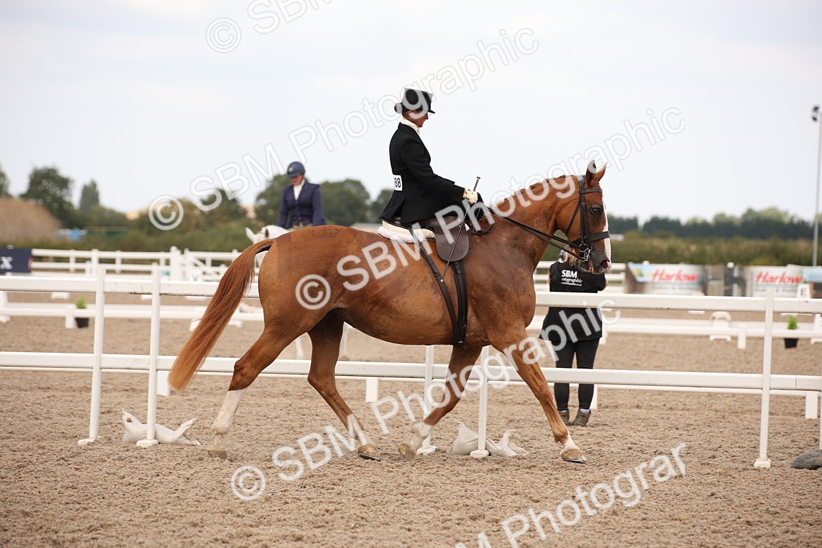 SBM_06627 - Class 23 SSA Classical