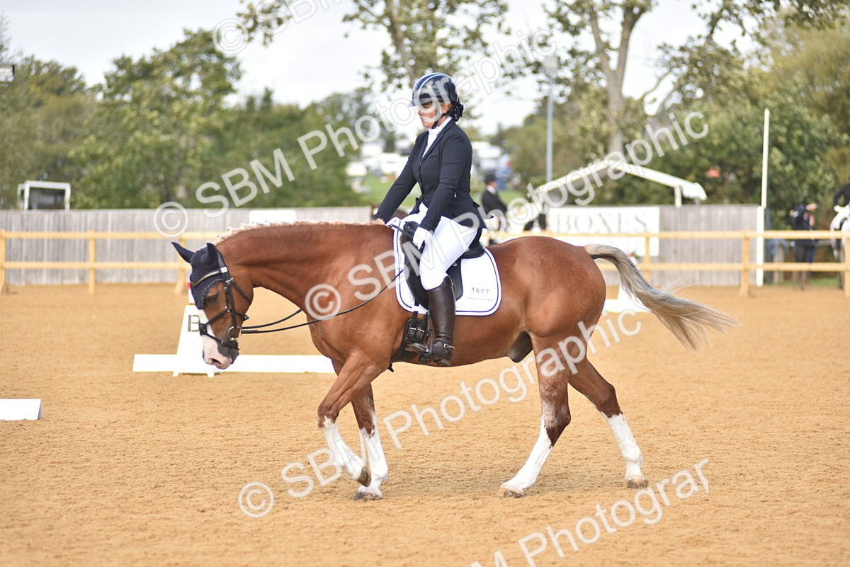 SBM_07825 - D15 - Small Tour Championship Novice 1