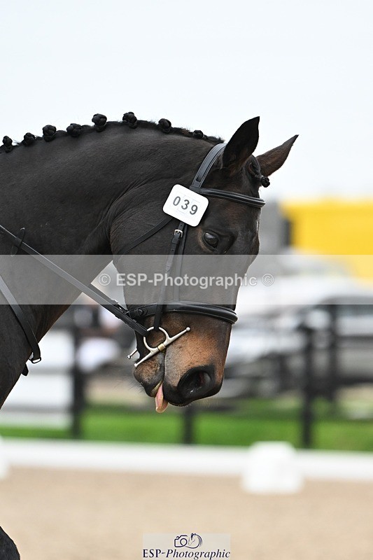 241103-105315-00396 - Intro 3 - 10.50 to 11.44