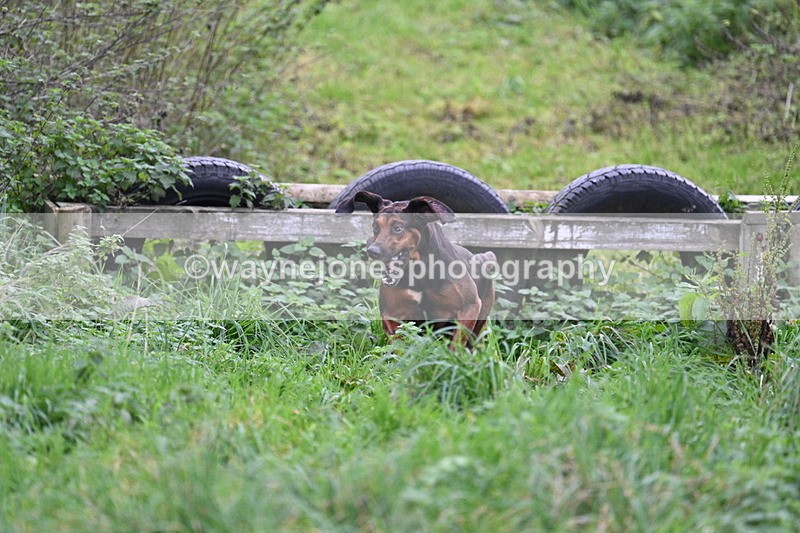 WJ7_8973 - Camera 1 only on this line