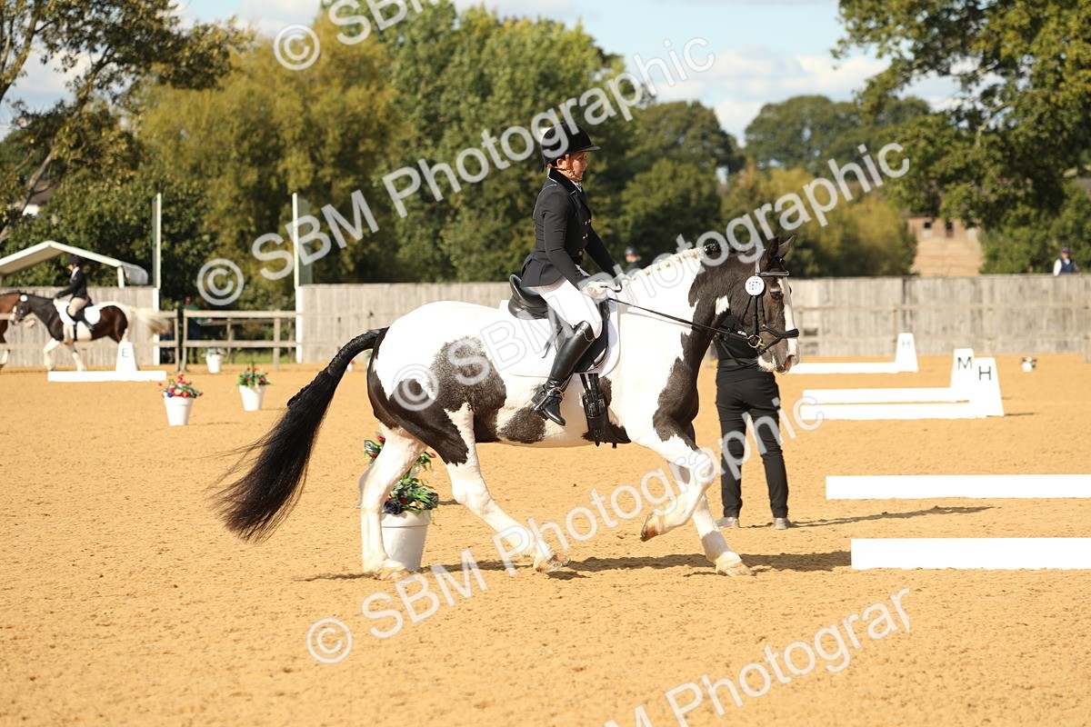 SBM_26705 - D17 - Grand Tour Championship - Novice 27