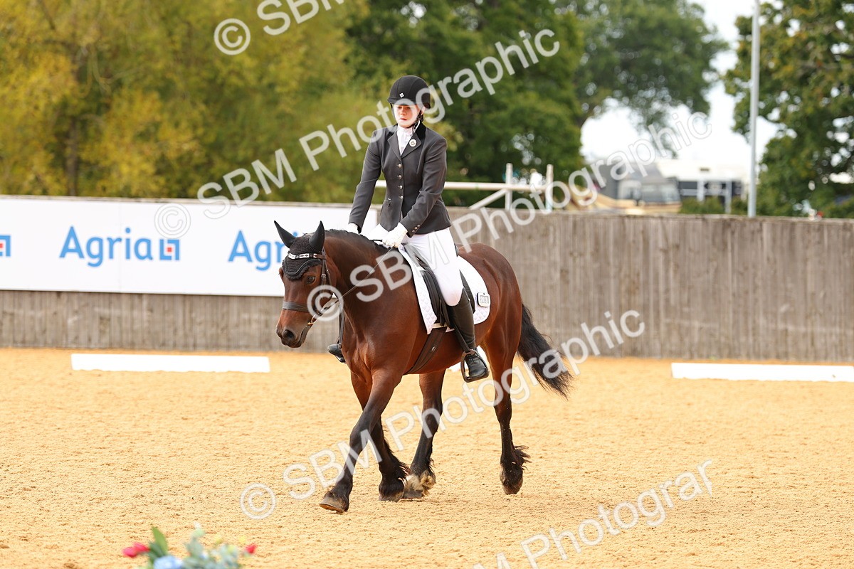 SBM_48249 - D22 - Junior Championship - Intro B