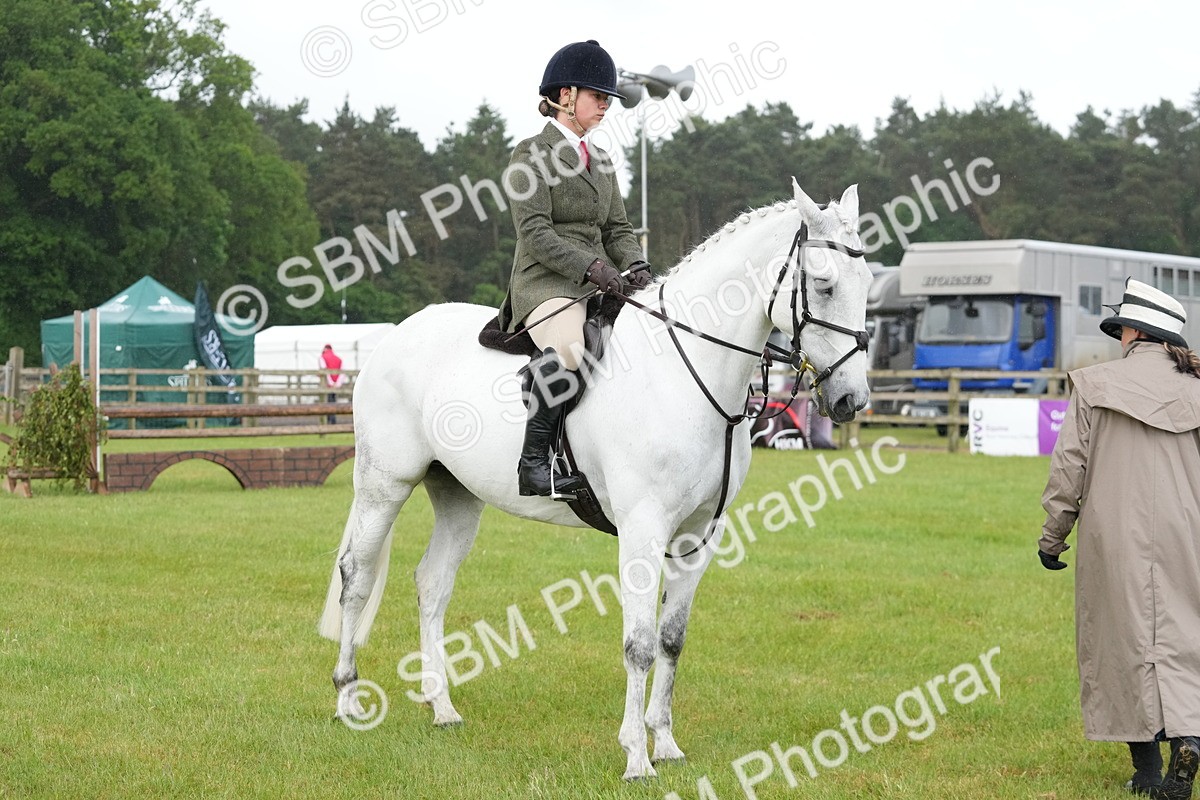 SBM_12675 - Class 97-98 - LIHS BSHA Rising Star Working Show Horse Hunter