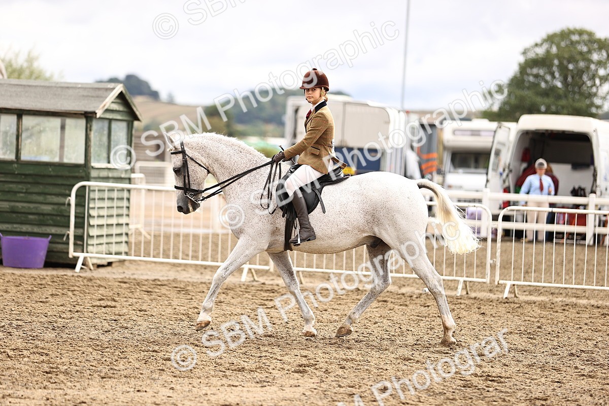 SBM_00584 - Class 53 - Ridden Competition Horse Pony