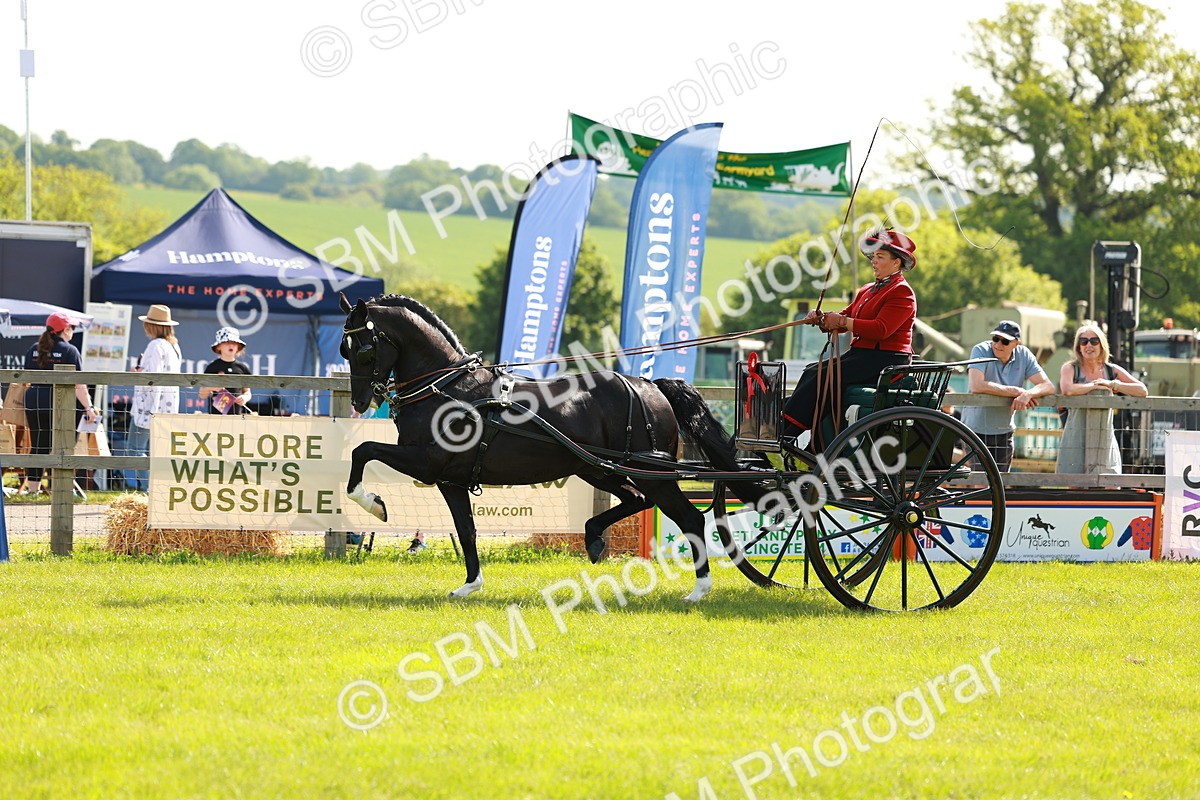 SBM_01287 - Class 2-4 - HOYS Private Driving