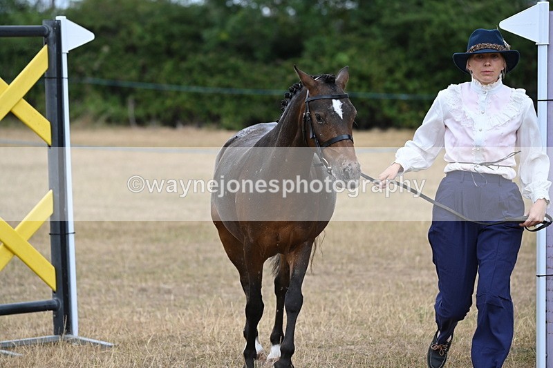 WJ6_8068 - Class 10 Coloured in Hand