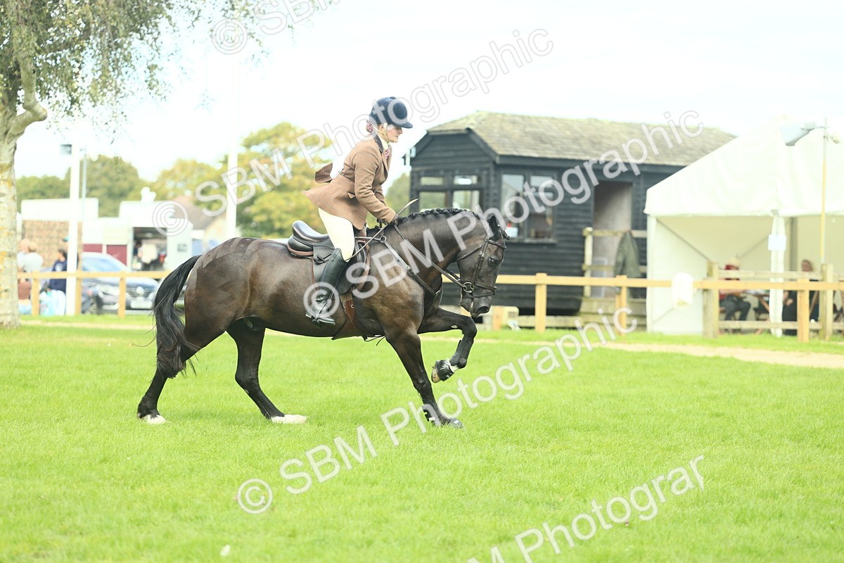 SBM_44764 - S31 - Working Hunter Pony