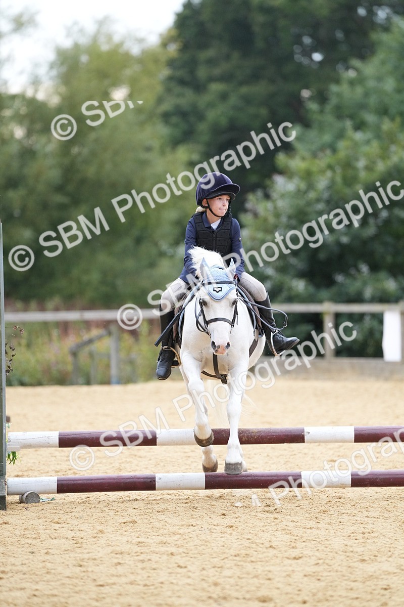 SBM_74587 - J4 - Mini Tour Junior Pony 45cm Championship