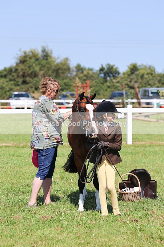 IMG_2035 - Class 34: Show Hunter Pony 153cm and under