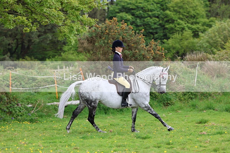 3E7A2077 - Class 11: Ridden Arab