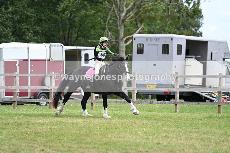 WJ7_8934 - 60cm Time 12:31 to 12:50