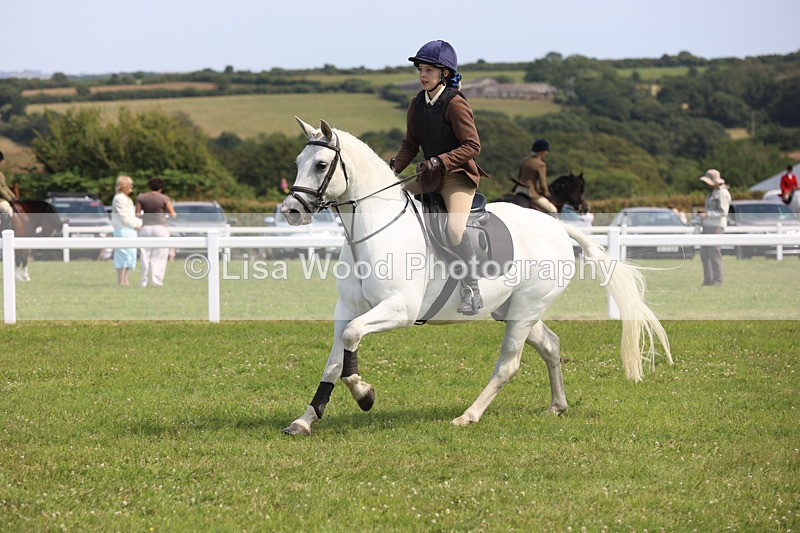 JPP_3614 - Class 23: Working Hunter 80cm