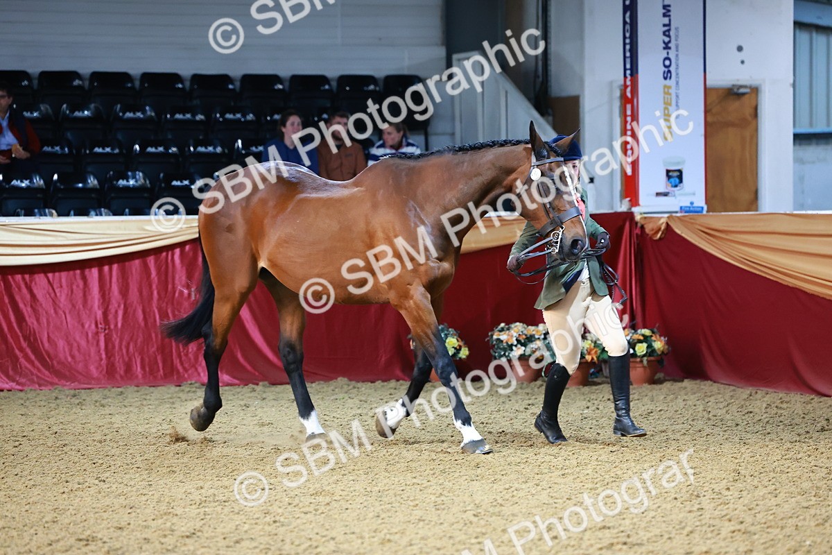 SBM_21707 - Class 901 - Supreme Final - IH  Diamond